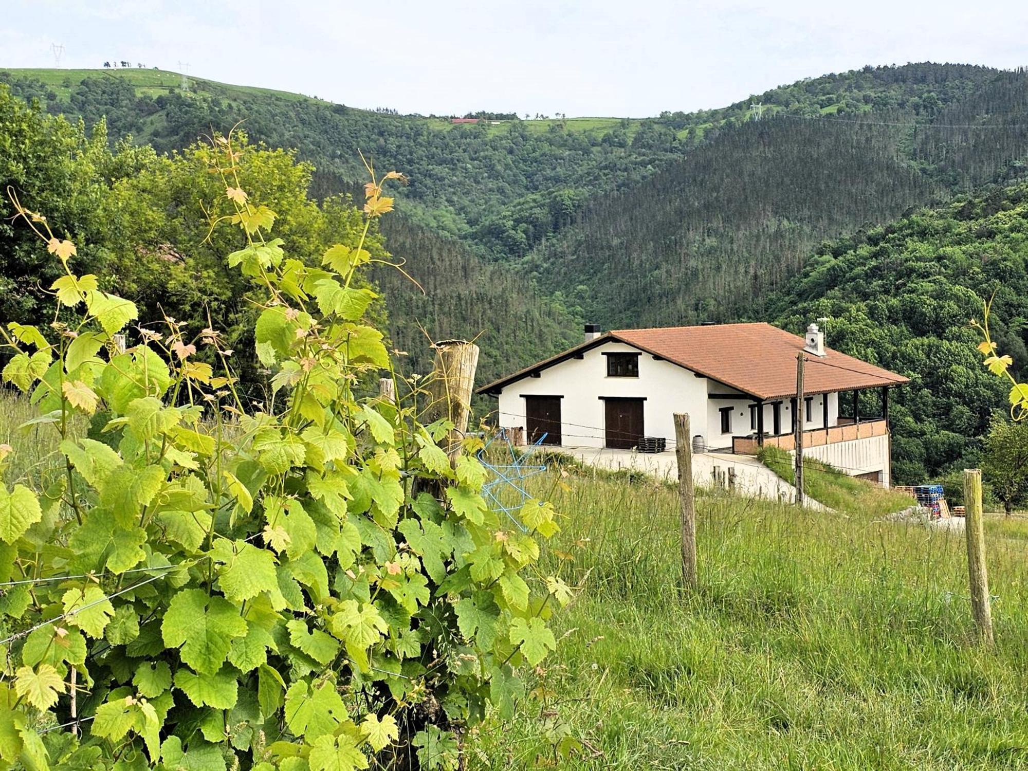 Arbela Apartamentuak Aia Екстериор снимка